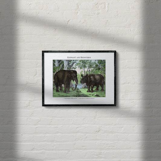 Elephant and Rhinoceros | 1889