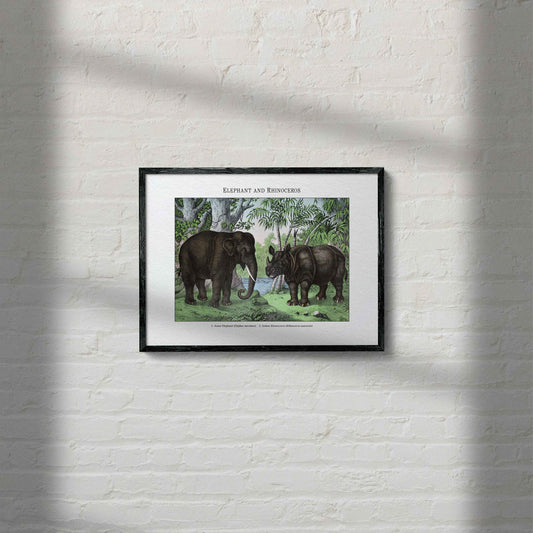 Elephant and Rhinoceros | 1889