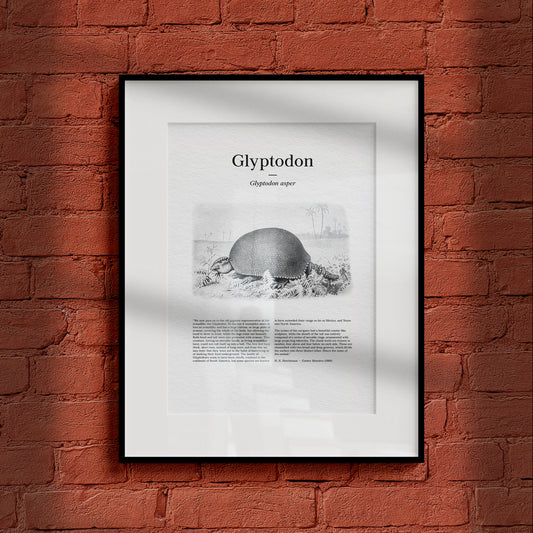 Glyptodon | 1896