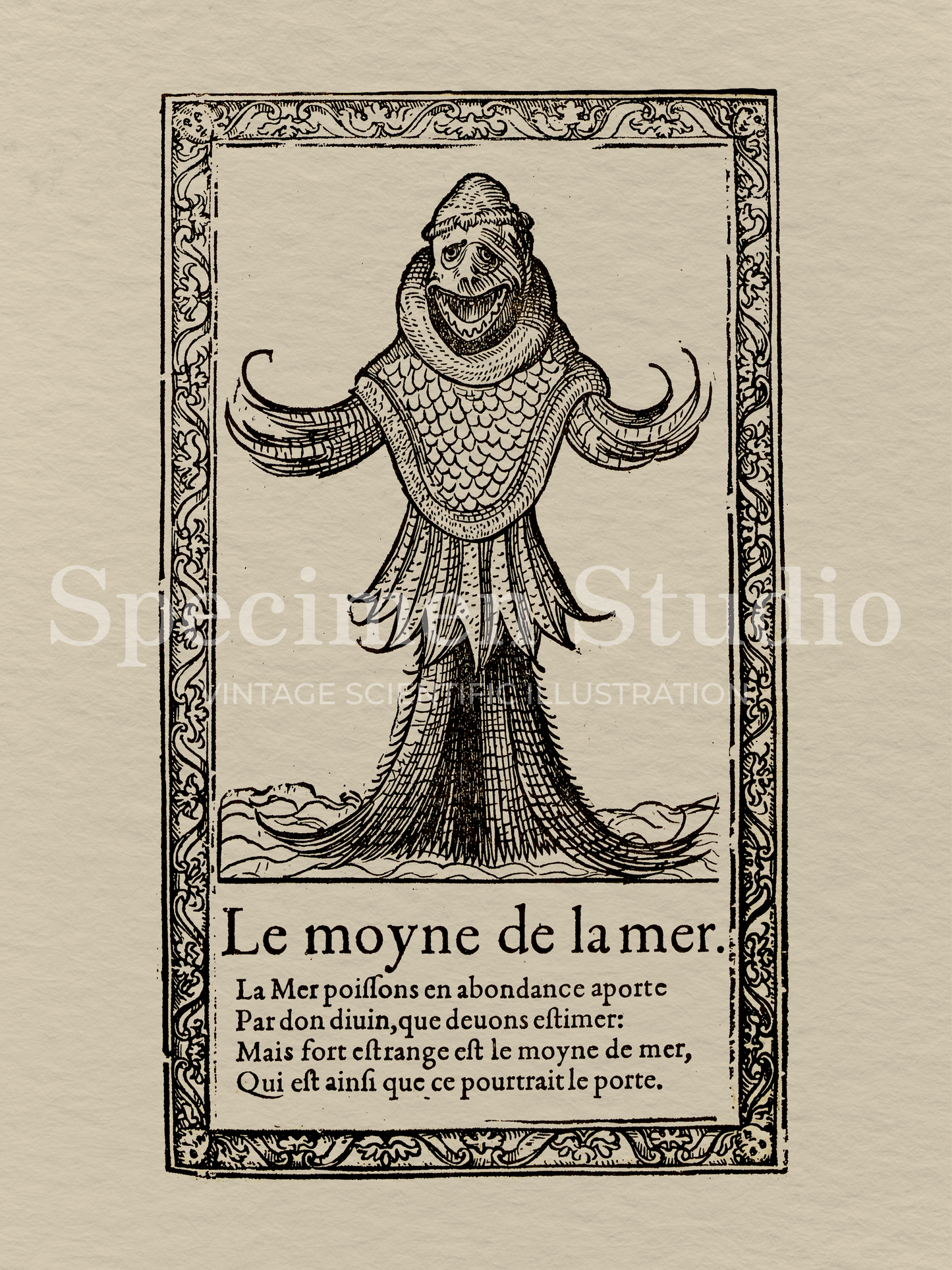 The Sea Monk Vintage Illustration