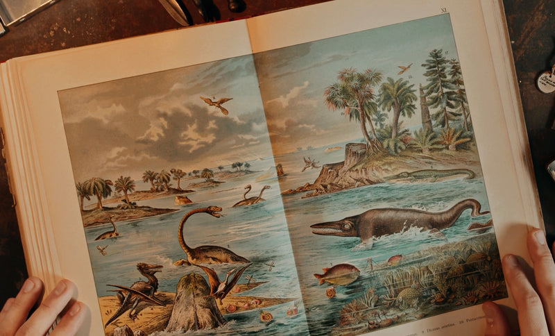 Open book showing illustrations of prehistoric animals and landscapes