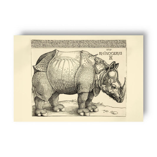 Vintage scientific illustration of Durer's original rhinoceros on a beige background