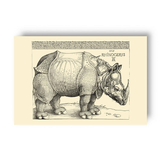 Vintage scientific illustration of Durer's edited rhinoceros on a beige background