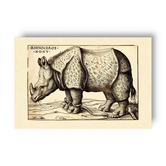 Vintage scientific illustration of Burgkmair's original rhinoceros on a beige background