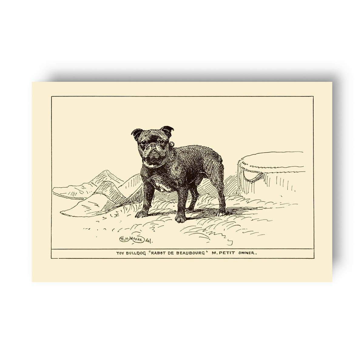 Vintage-style illustration of a french bulldog on a yellow beige background