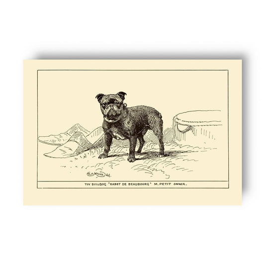 Vintage-style illustration of a french bulldog on a yellow beige background