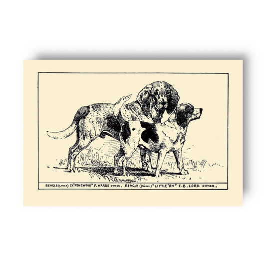 Vintage-style illustration of two beagles on a yellow beige background