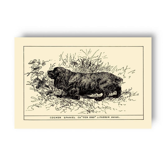 Vintage-style illustration of a cocker spaniel on a yellow beige background