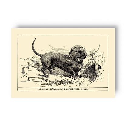 Vintage-style illustration of a dachsund on a yellow beige background
