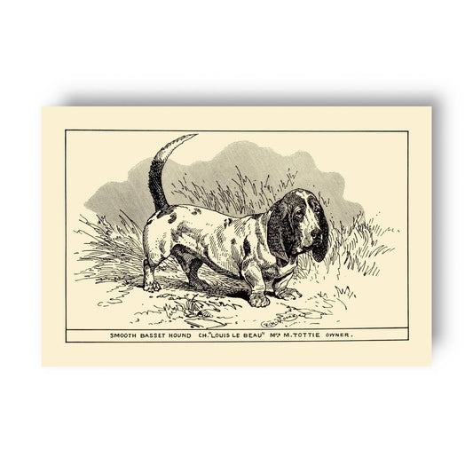 Vintage-style illustration of a basset hound on a yellow beige background