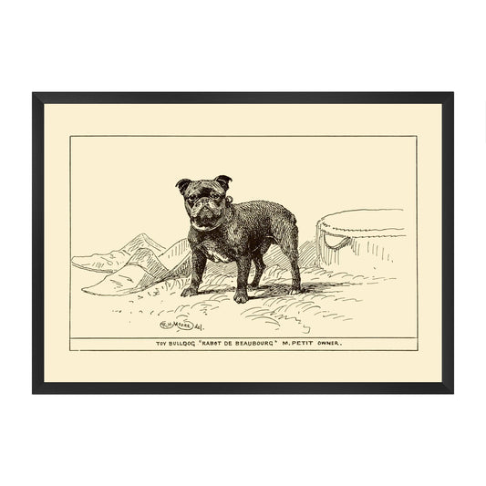 Framed vintage-style illustration of a french bulldog on a yellow beige background