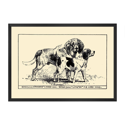 Framed vintage-style illustration of two beagles on a yellow beige background