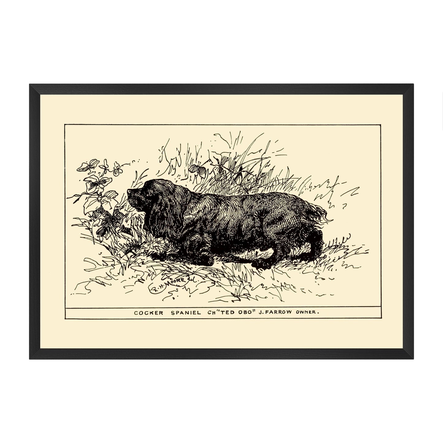Framed vintage-style illustration of a cocker spaniel on a yellow beige background
