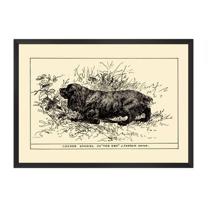 Framed vintage-style illustration of a cocker spaniel on a yellow beige background