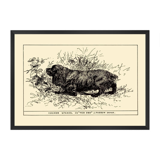 Framed vintage-style illustration of a cocker spaniel on a yellow beige background
