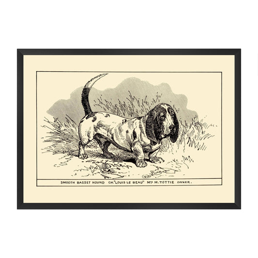 Framed vintage-style illustration of a basset hound on a yellow beige background