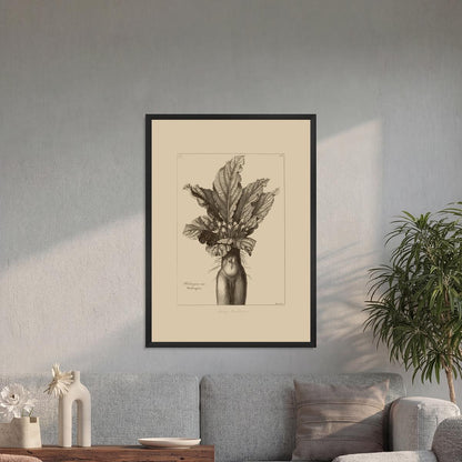Mandrake Vintage Botanical Illustration