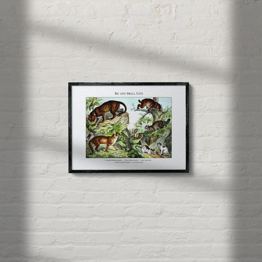 Big and Small Cats | 1889