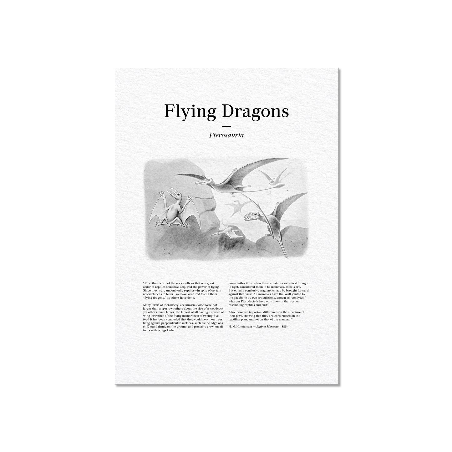 Flying Dragons | 1896