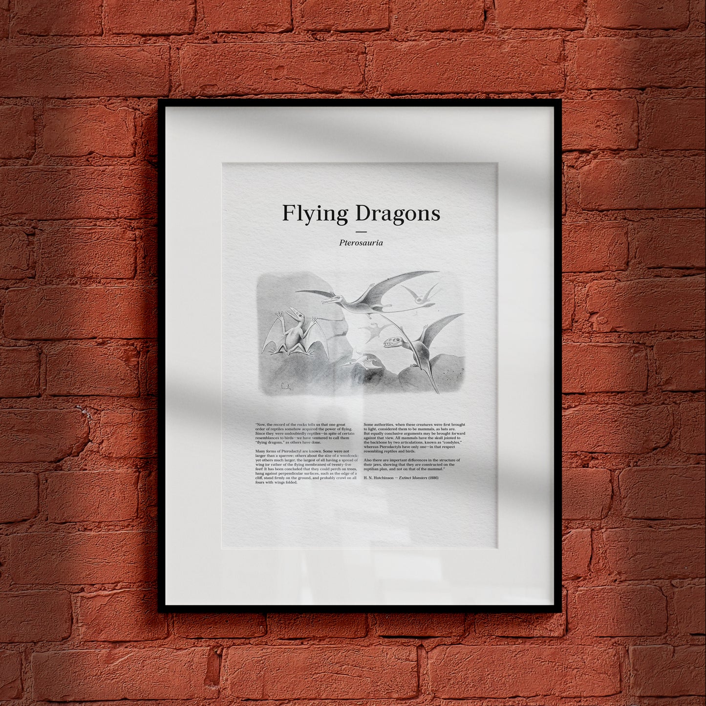 Flying Dragons | 1896