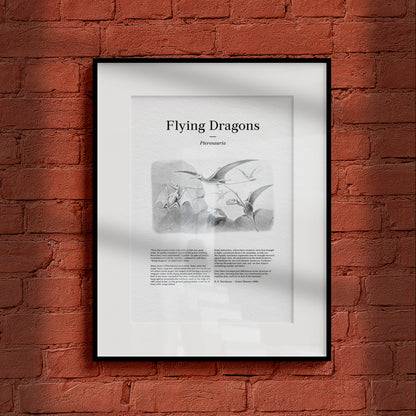 Flying Dragons | 1896