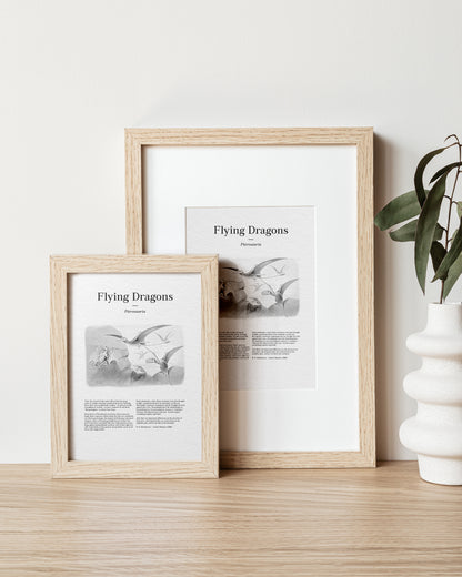 Flying Dragons | 1896