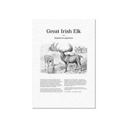 Great Irish Elk | 1896
