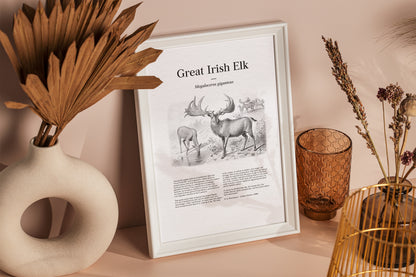 Great Irish Elk | 1896