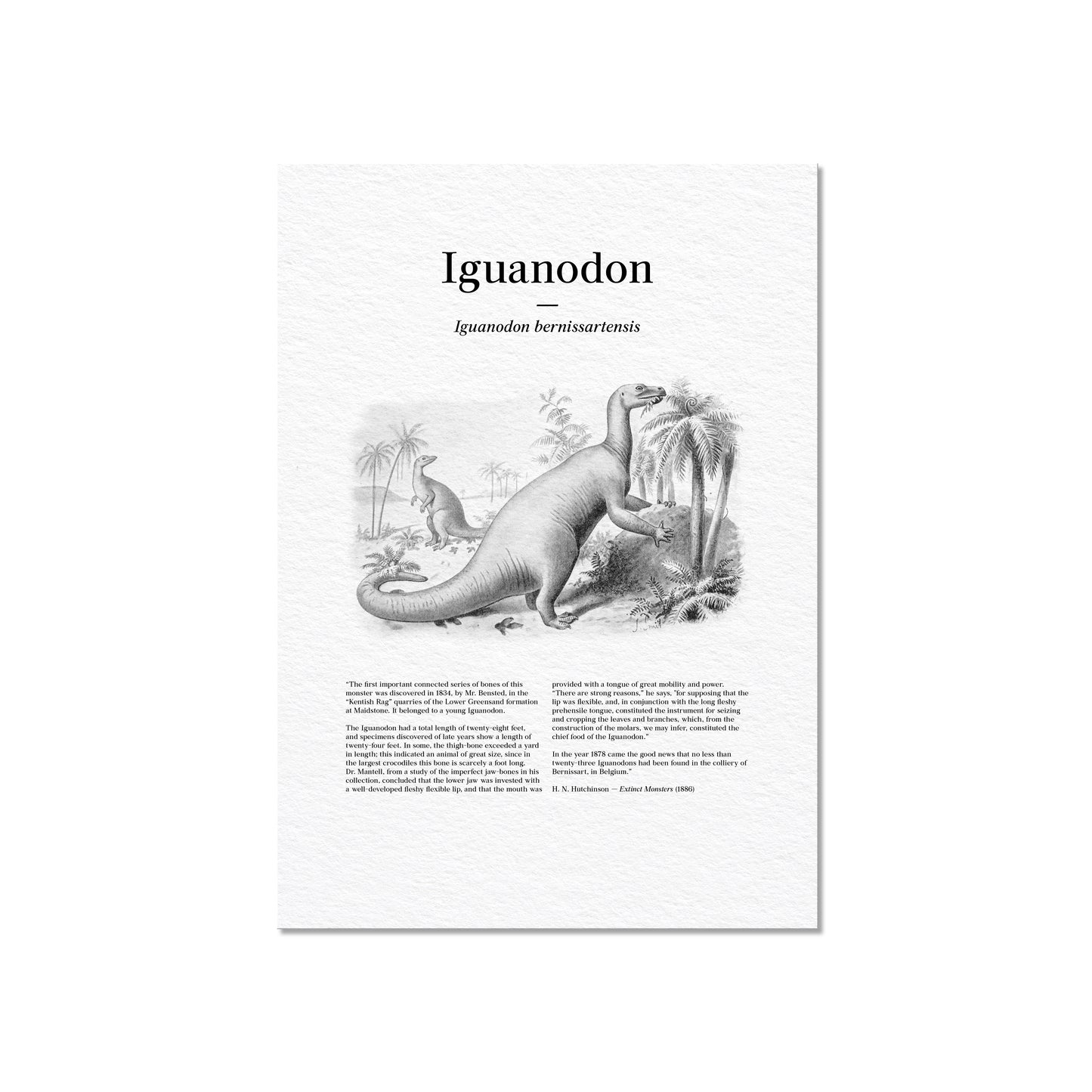 Iguanodon | 1896