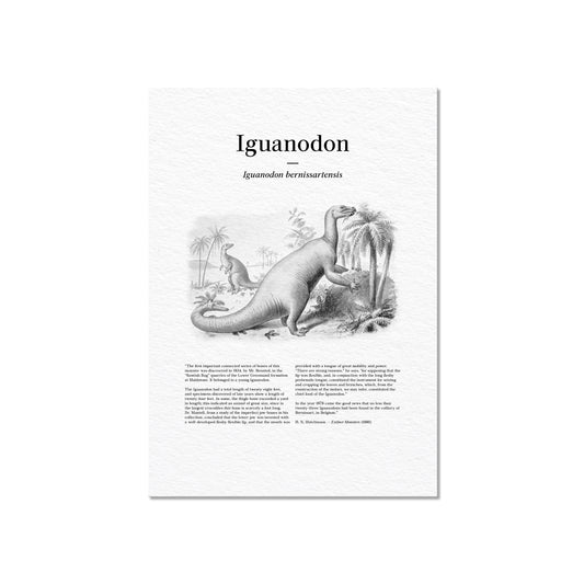 Iguanodon | 1896