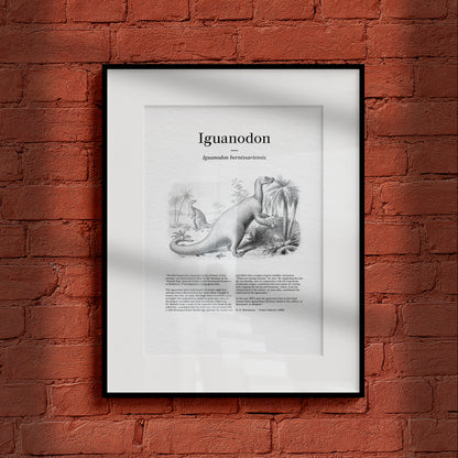 Iguanodon | 1896