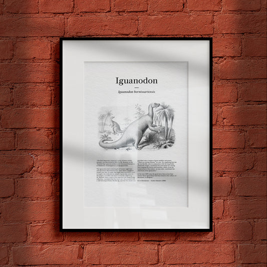 Iguanodon | 1896