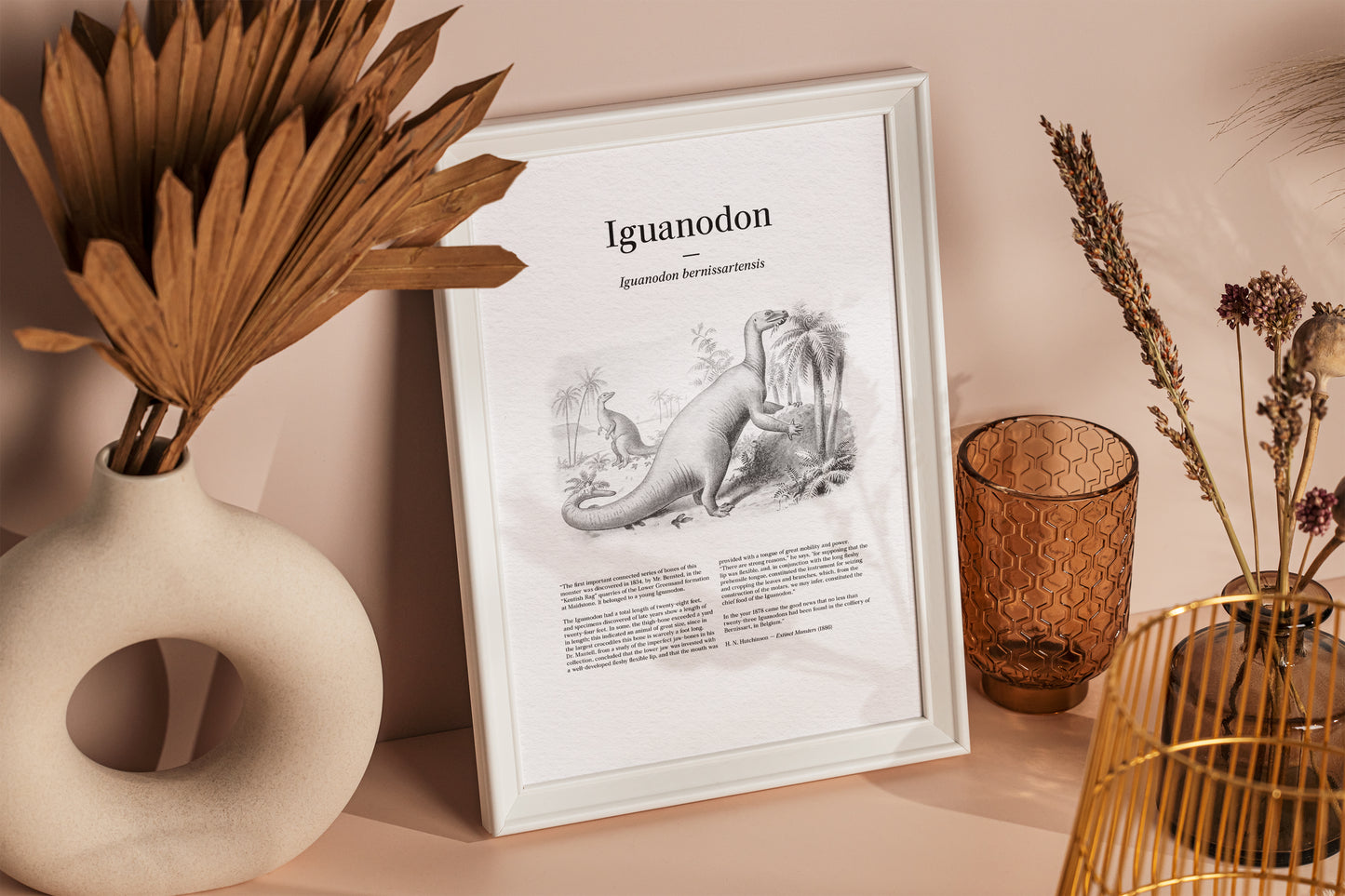 Iguanodon | 1896