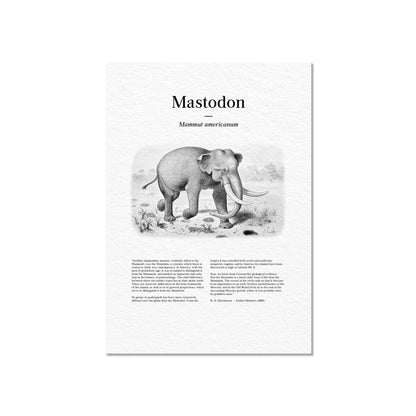 Mastodon | 1896