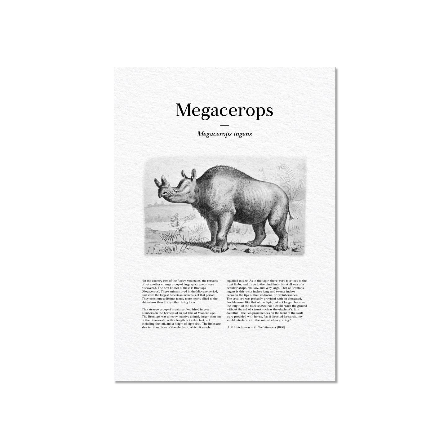 Megacerops | 1896