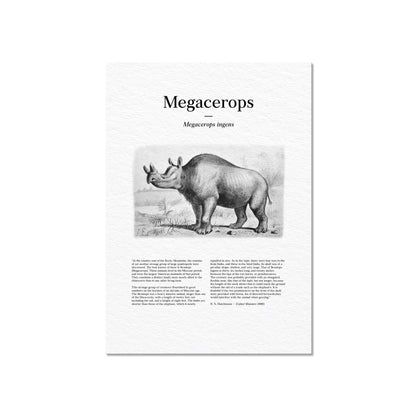Megacerops | 1896