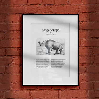 Megacerops | 1896