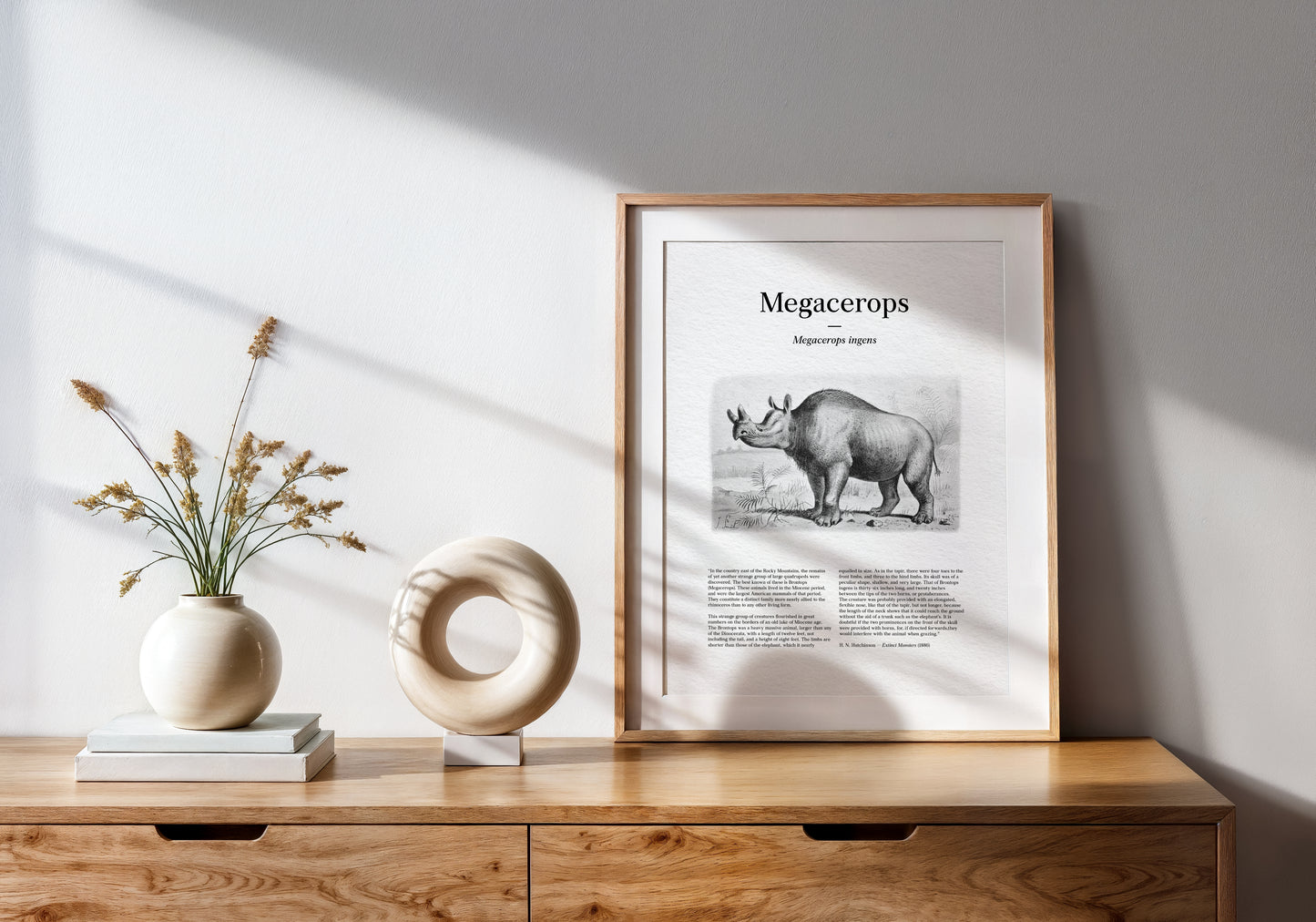 Megacerops | 1896