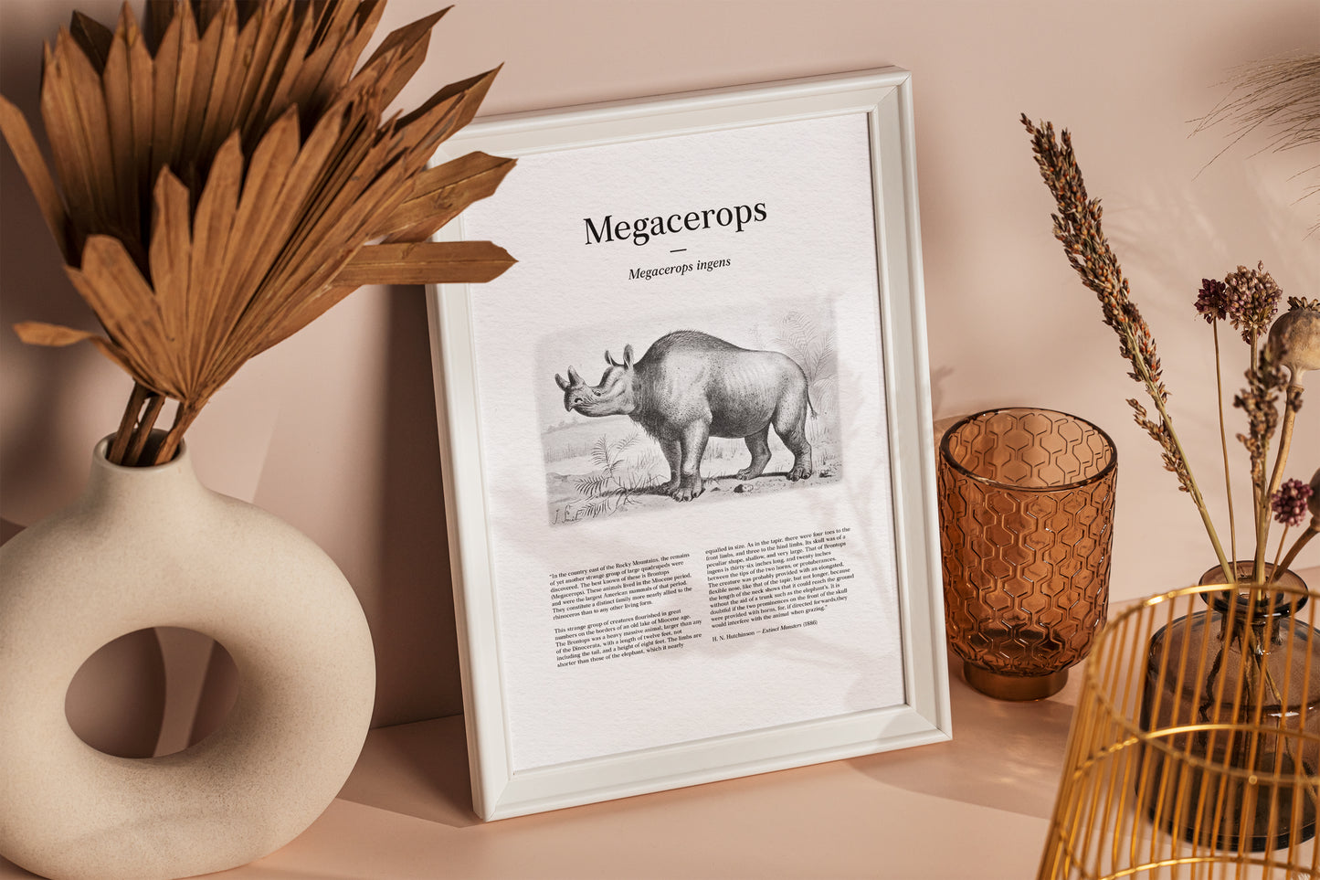 Megacerops | 1896