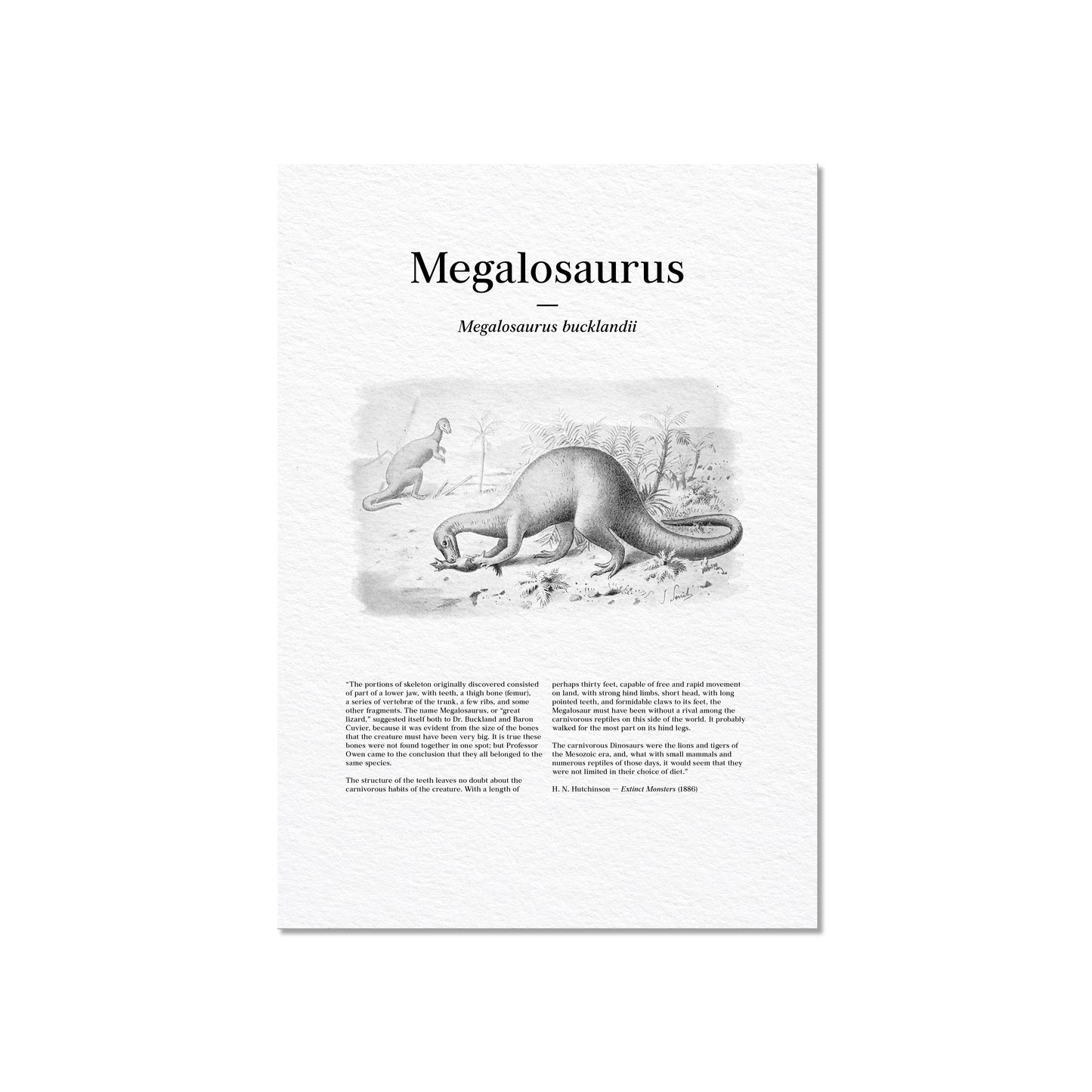 Megalosaurus | 1896