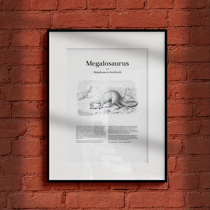 Megalosaurus | 1896