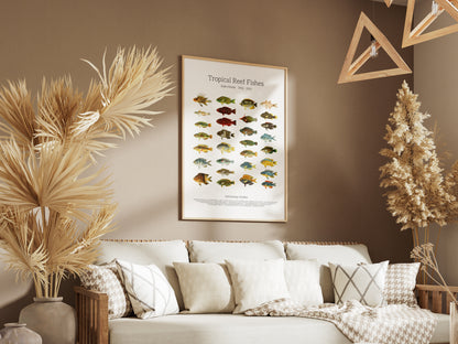 Tropical Reef Fishes | 1902–1903