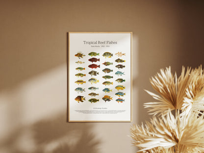 Tropical Reef Fishes | 1902–1903