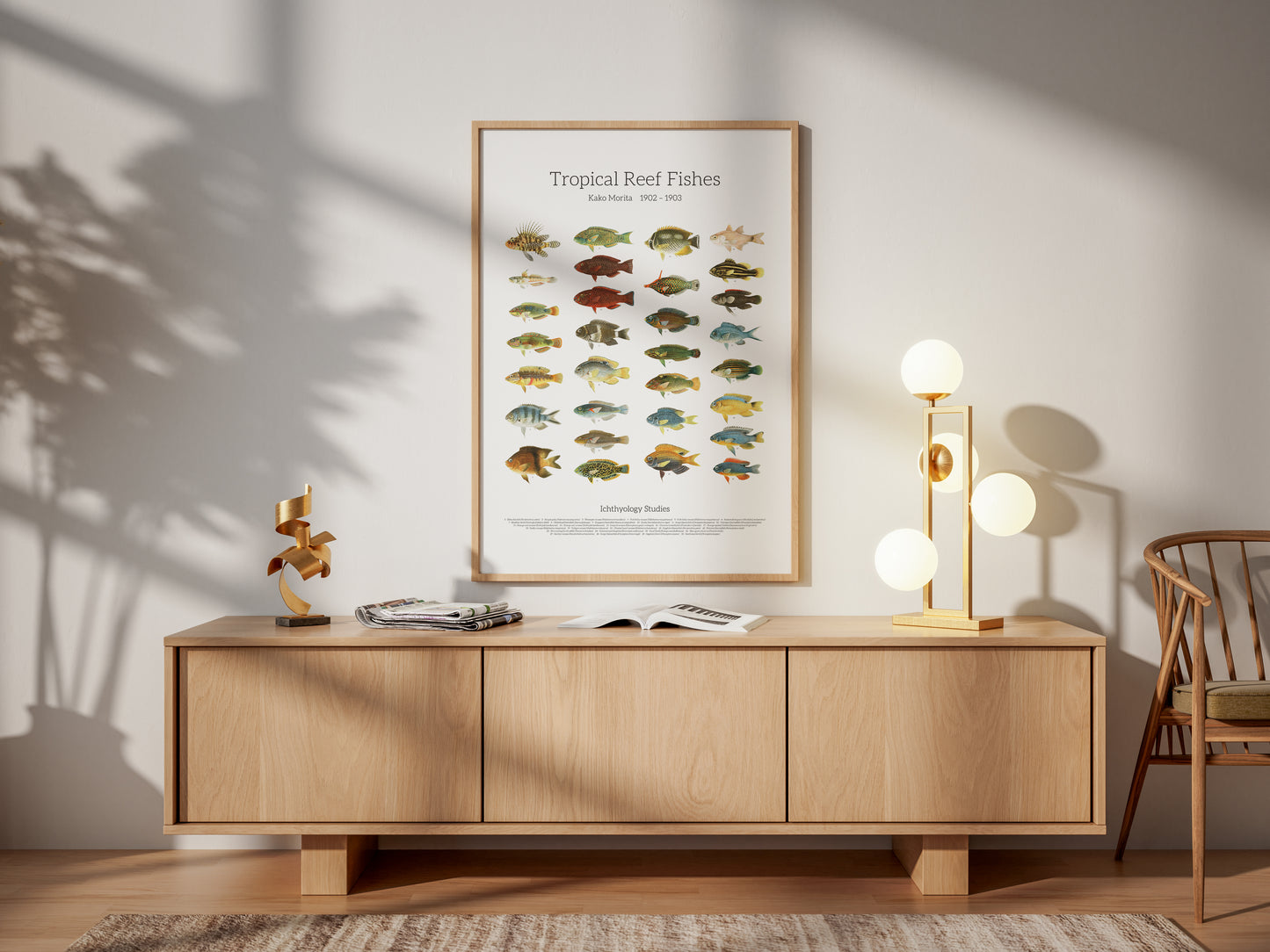 Tropical Reef Fishes | 1902–1903