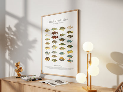 Tropical Reef Fishes | 1902–1903