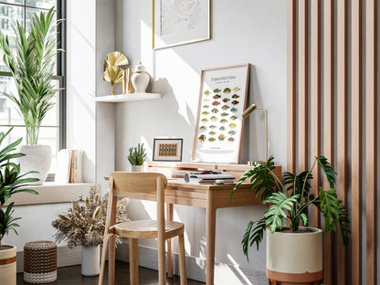 Tropical Reef Fishes | 1902–1903