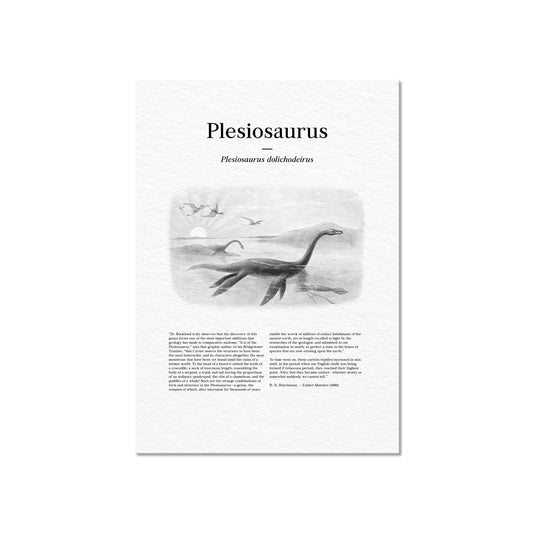 Plesiosaurus | 1896