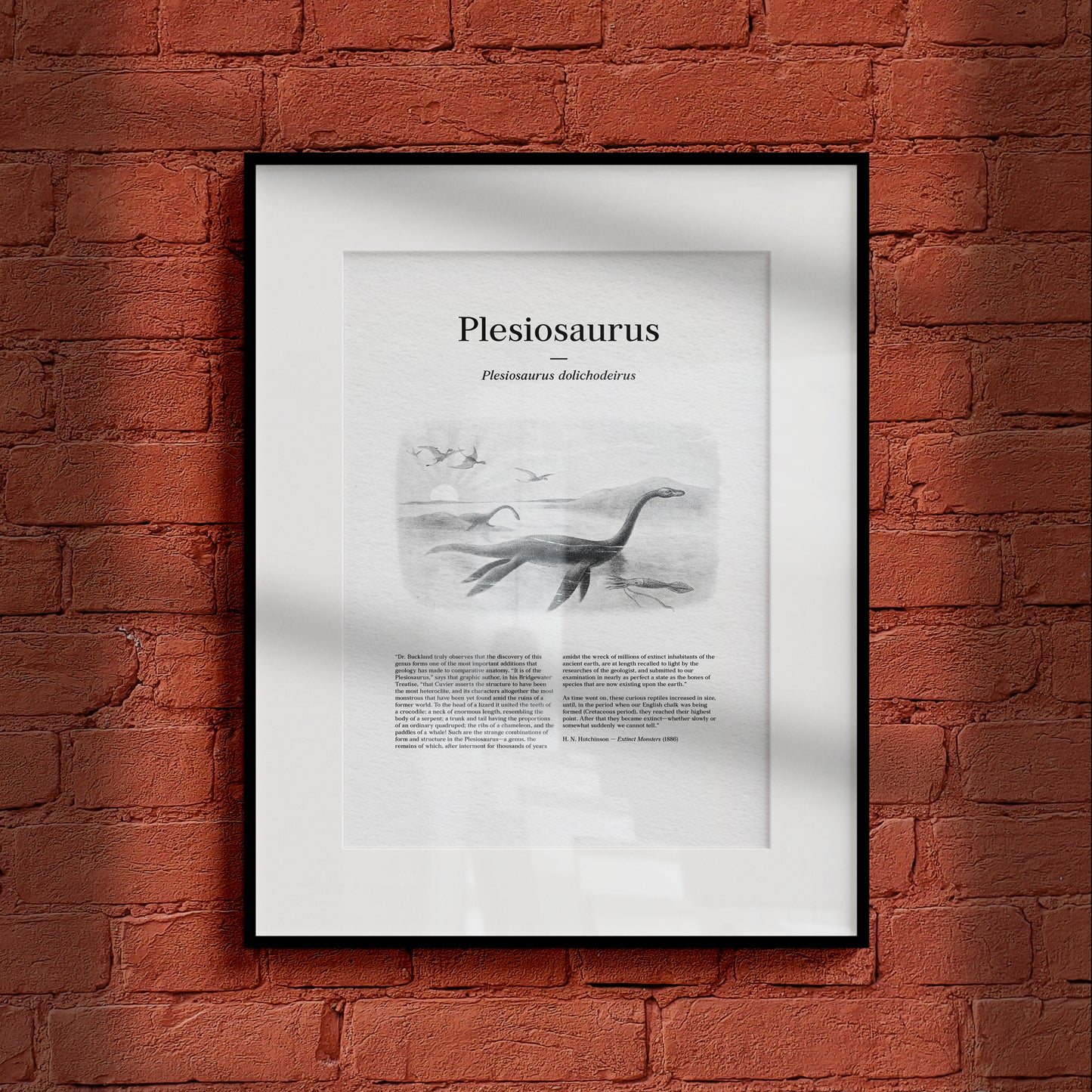 Plesiosaurus | 1896