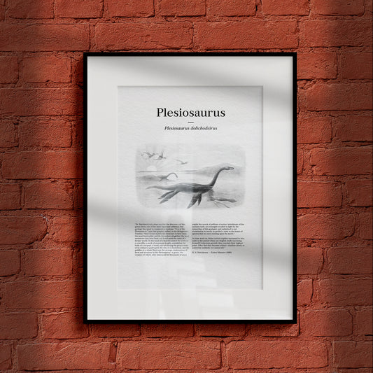 Plesiosaurus | 1896