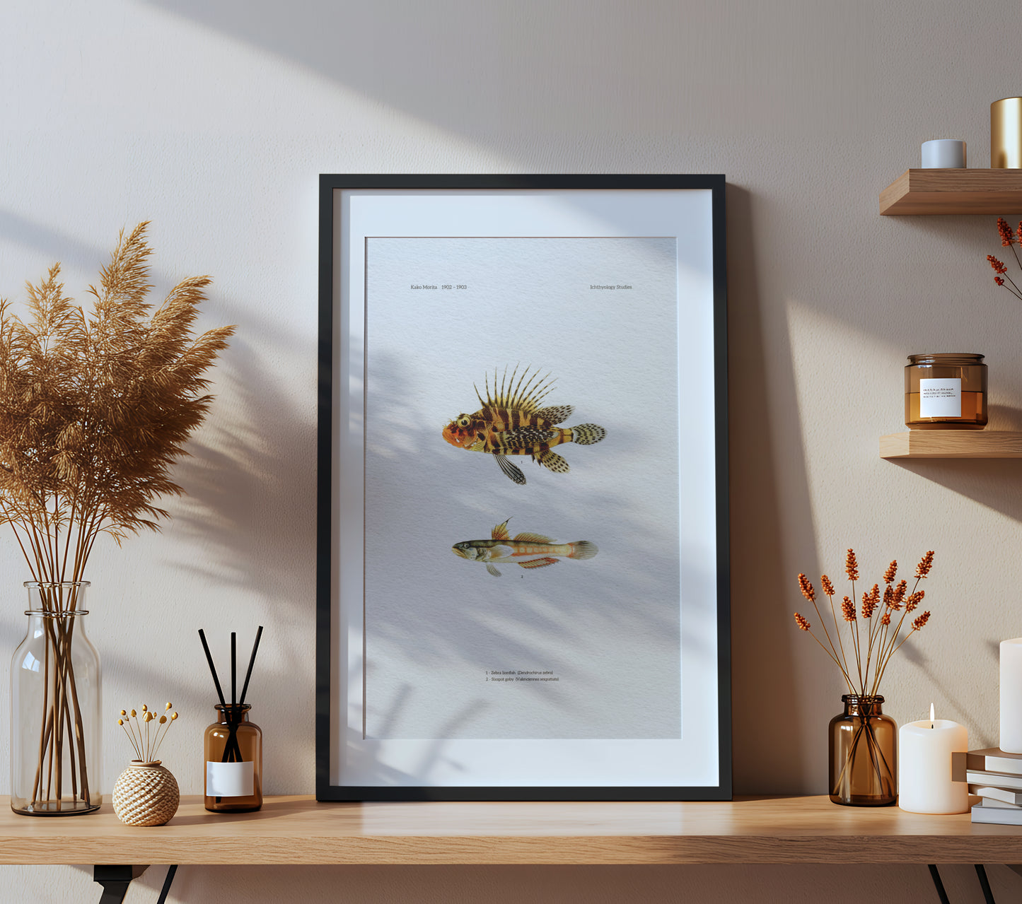 Zebra Lionfish and Sixspot Goby | 1902–1903